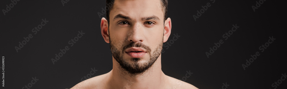 Obraz premium panoramic shot of handsome seductive naked man isolated on black