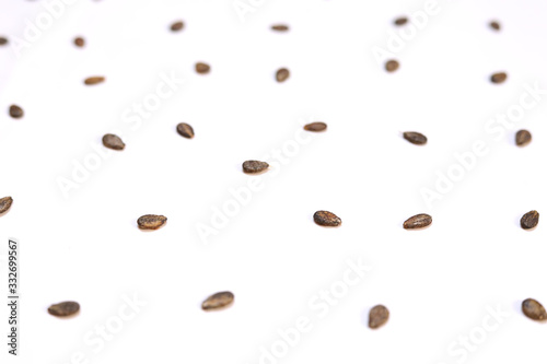 Watermelon seeds isolated on white background. Flat lay. Black seed Pattern. Food concept. Close up