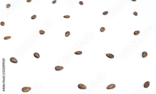 Watermelon seeds, macro isolated on white background, top view