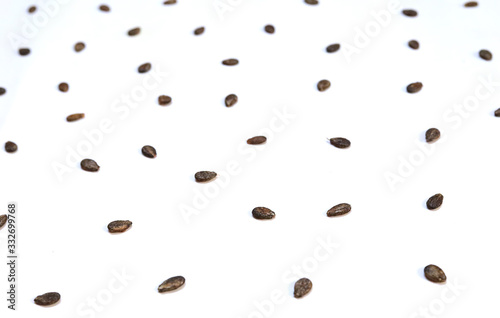 Multiple watermelon seeds, composition isolated over the white background, top view