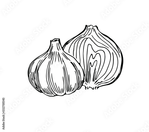 Garlic and onion half in line art style.