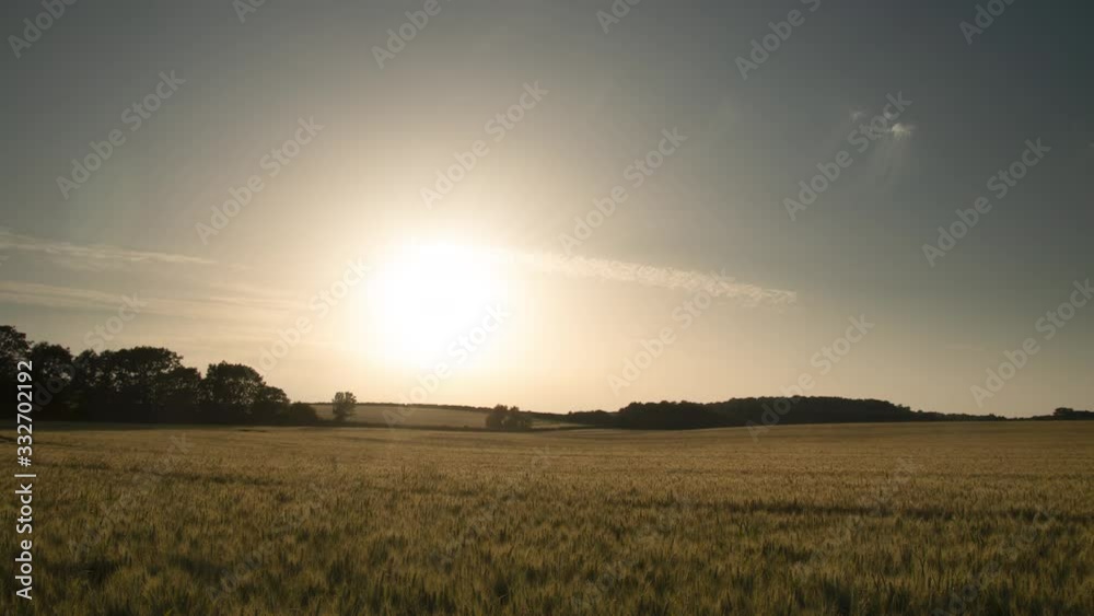 Sunset In A Summer Field Time-Lapse Sunset In A Summer Field Time-Lapse