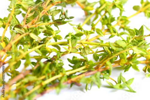 Sprigs of fresh thyme on a white background, close-up. photo