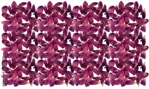 Abstract background with tulip petals