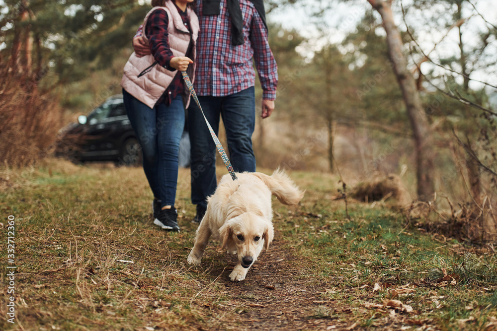 Happy mature couple have a walk with their dog in autumn or spring forest near modern car Happy mature couple have a walk with their dog in autumn or spring forest near modern car