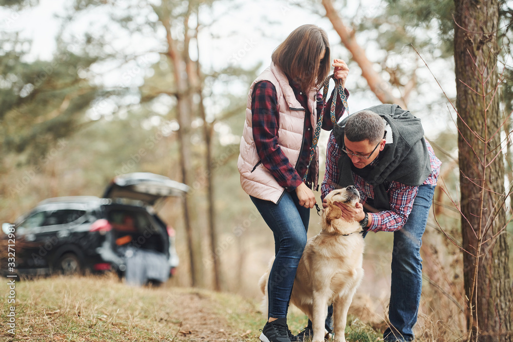 Happy mature couple have a walk with their dog in autumn or spring forest near modern car Happy mature couple have a walk with their dog in autumn or spring forest near modern car