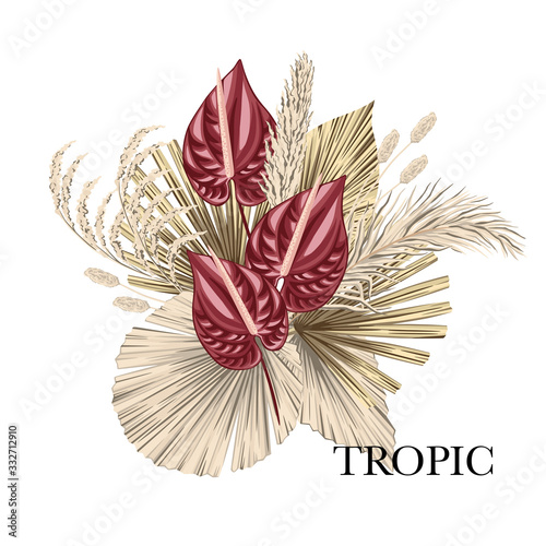 Boho bouquet dried palm leaves anthurium flower illustration. Tropical jungle floral vector composition.