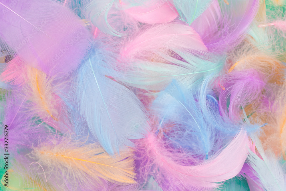 Colorful feather background, top view. Colorful feather background, top view.
