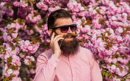 Bearded man in pink shirt talking by phone. Springtime. brutal mature hipster speak on phone in cherry bloom. bearded man enjoy sakura blossom. nice conversation. calling for date. his happy day