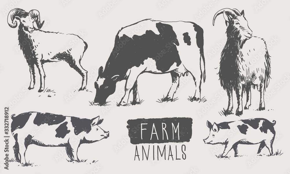 Farm animals. Set of sketches in vintage style on an isolated background..