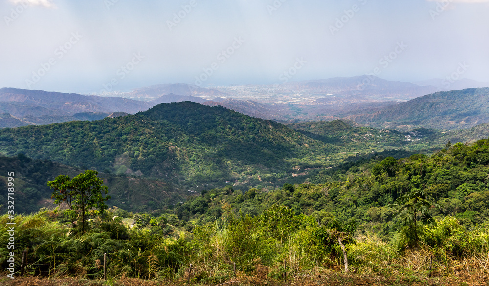 View of the Jungle in Minca from Los Pinos