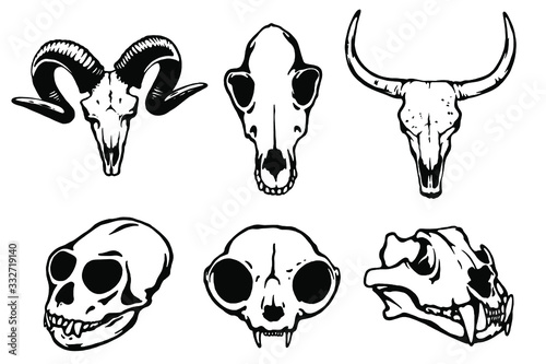 Vector hand drawn illustration animal skull. Monkey, Tiger, Goat, Cow, Cat, Dog. Good for posters, postcards, print for t-shirt, tattoo.