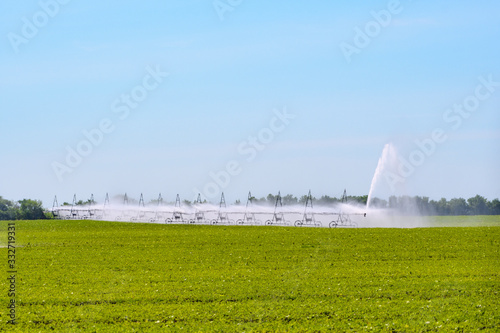 A working sprinkler for irrigation of fields in the steppe zone. Water jets and splashes over a green agricultural field under a clear blue sky on a hot sunny summer day.