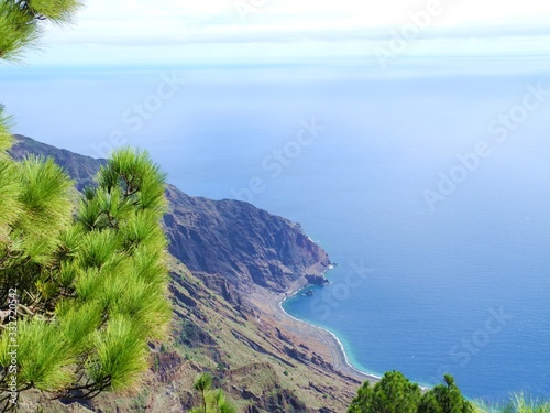 Pines, Ocean, Mountains and Horizont with clear coulours photo