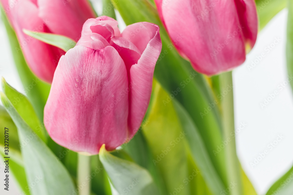 Bouquet of beautiful pink tulips against a blurred background of green stems and leaves. Delicate spring flowers as a gift for the holiday. Selective focus Bouquet of beautiful pink tulips against a blurred background of green stems and leaves. Delicate spring flowers as a gift for the holiday. Selective focus
