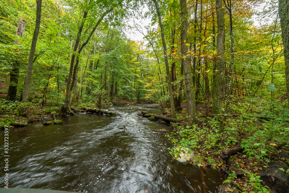 Stormy river flowing through the spring forest.selective focus, long exposure. Stormy river flowing through the spring forest.selective focus, long exposure.