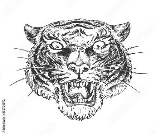 Angry wild growling tiger face