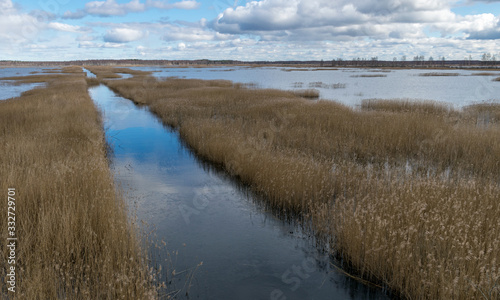 Fototapeta Naklejka Na Ścianę i Meble -  view from tower to bog lake, many reeds