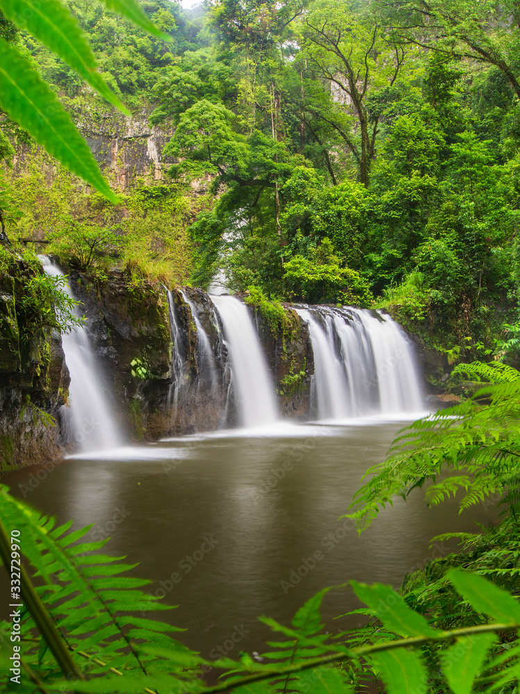 Waterfall in lush wet tropical rainforest. Long exposure with Fern leaves as border. Taken in World Heritage Wooroonooran National Park.