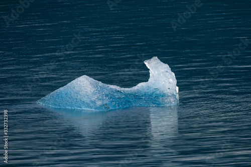 Iceberg floating in the waters near Dawes Glacier, Endicott Arm, Alaska photo