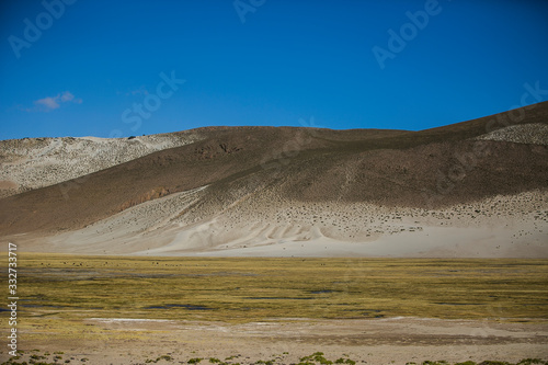 Dry landscapes in Cordillera Real  Andes  Bolivia