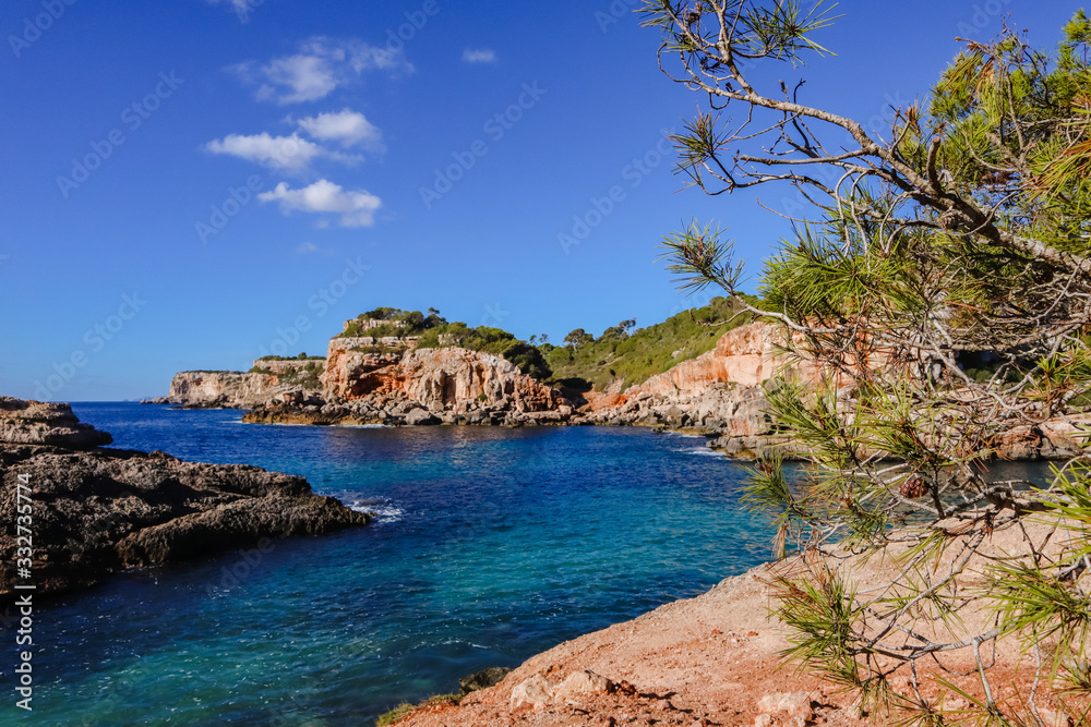 Marine seascape with rocks in the wild nature, pine tree on the right in the foreground. Calm blue sea water. Tropical island sea relax.