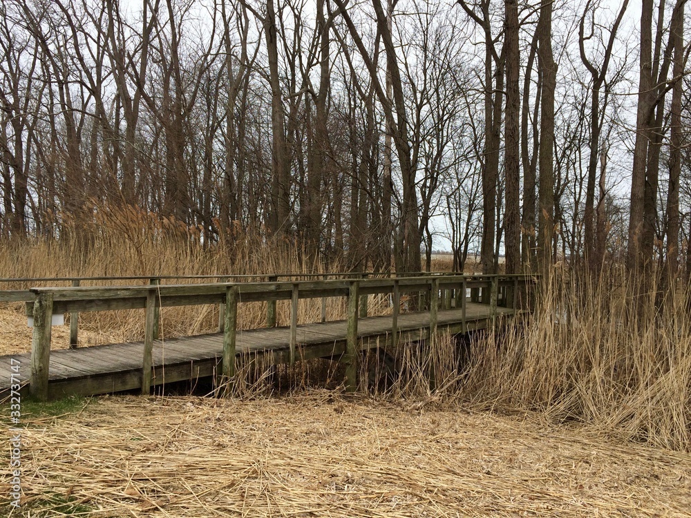 Fototapeta premium old wooden bridge over a creek