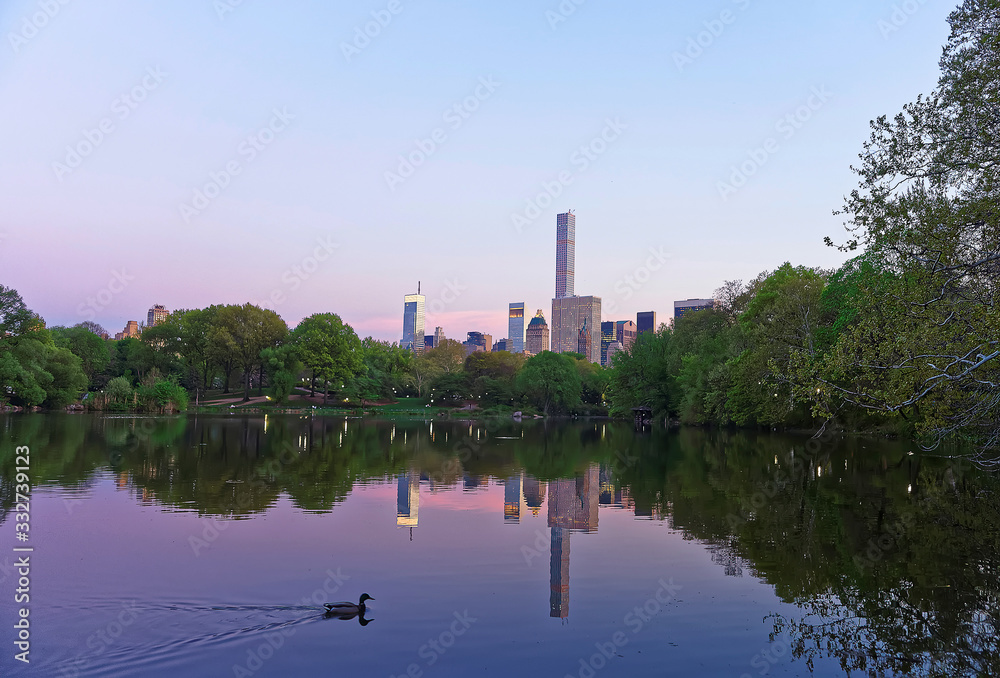 Manhattan mirrored from water and duck in Central Park