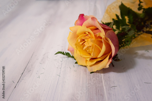 Yellow rose over rustic wooden background 