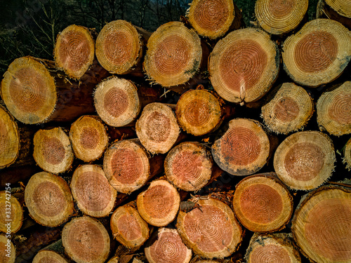 Texture of round wooden stacked logs for timber industry