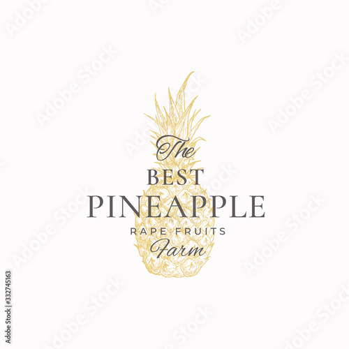 Pineapple Farms Abstract Vector Sign, Symbol or Logo Template. Hand Drawn Pineapple Sketch with Retro Typography. Vintage Luxury Emblem.