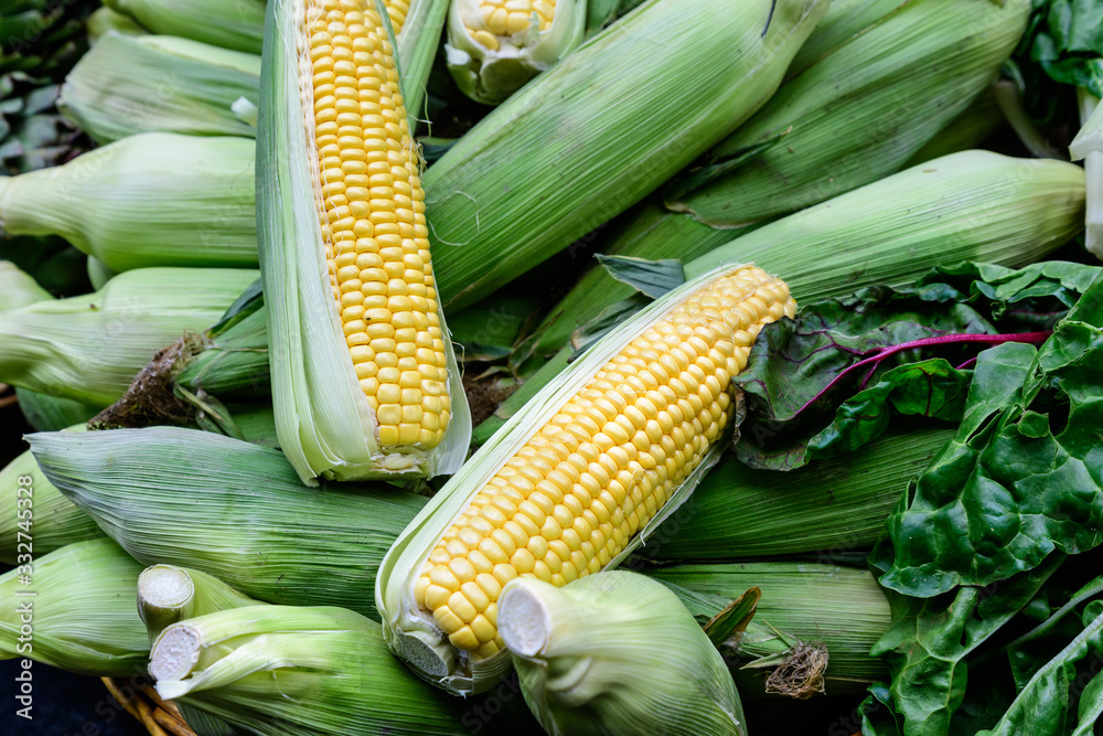 Green organic sweet corn in display for sale at a street food market brought from a farm, top view of flat flay of healthy food photographed with soft focus Green organic sweet corn in display for sale at a street food market brought from a farm, top view of flat flay of healthy food photographed with soft focus