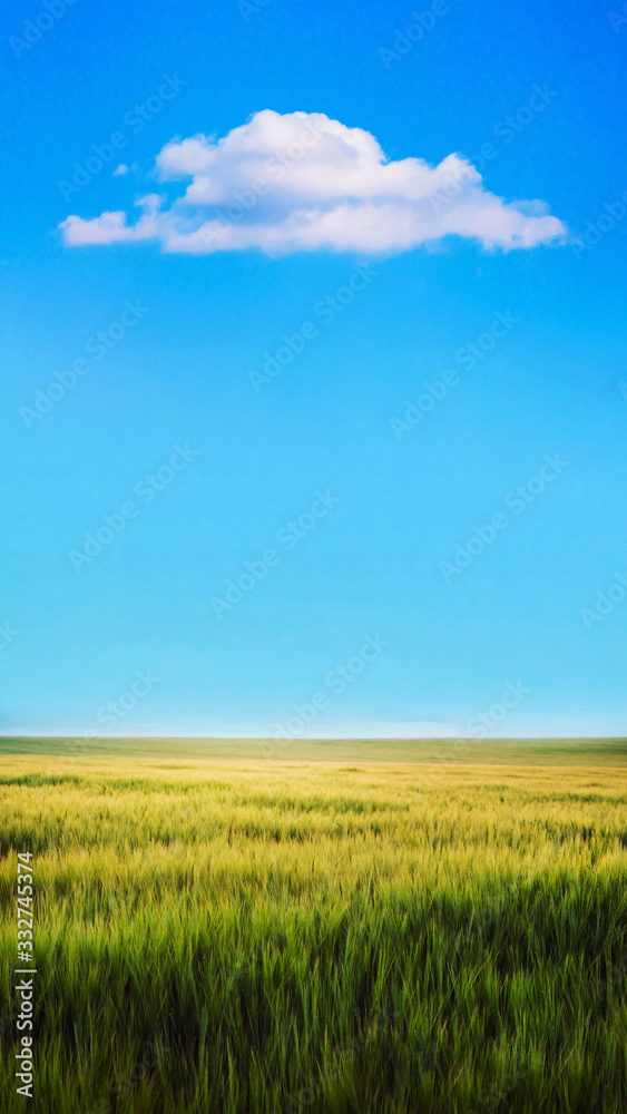 Field with green wheat in ripening period and sky with clouds above the field. Vertical format_