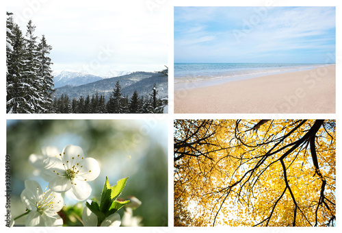 Beautiful photos of nature. Four seasons collage