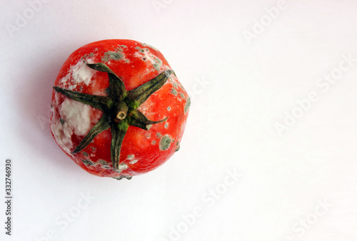The tomato is red spoiled on a white background. View from above. Spoiled tomato. Tomato with mould. Space to copy