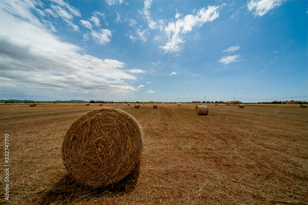 Heystack, Hayroll, Field, Straw,Sky, Harvest Heystack, Hayroll, Field, Straw,Sky, Harvest