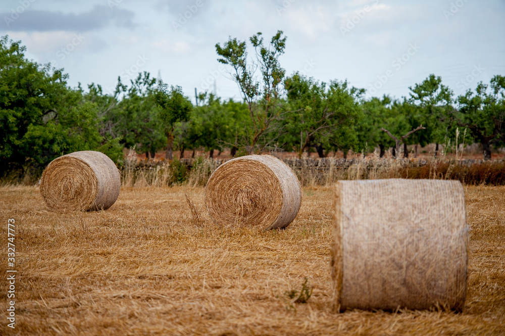 Heystack, Hayroll, Field, Straw,Sky, Harvest