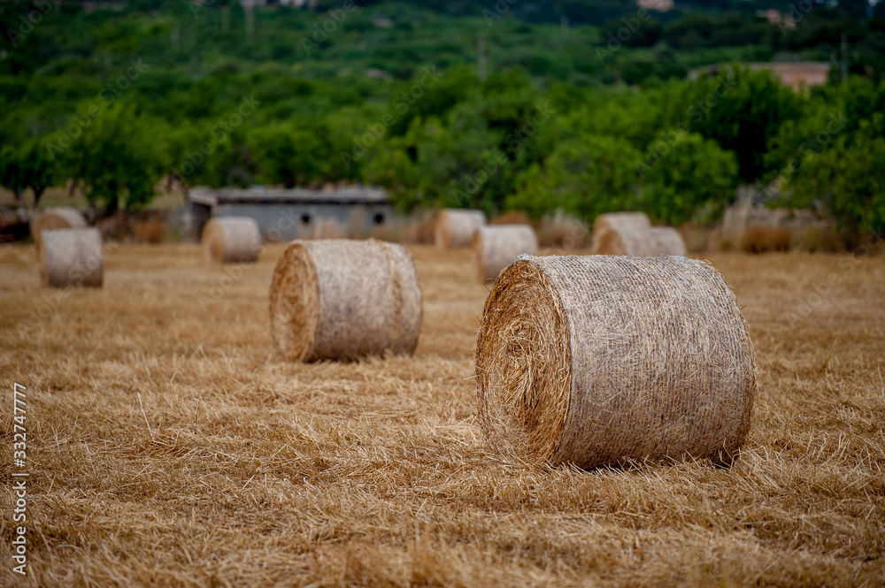 Heystack, Hayroll, Field, Straw,Sky, Harvest