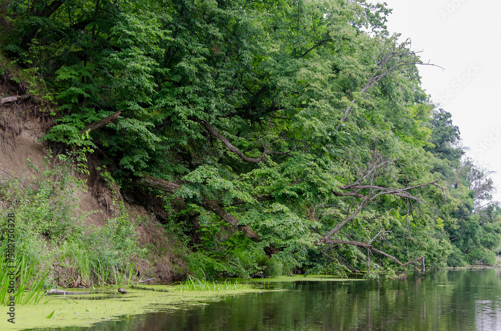 water, lake, river, forest, tree, nature, landscape, green, trees, pond, park, reflection, summer, sky, blue, grass, stream, spring, outdoors, tranquil, plant, beauty, woods, beautiful, view water, lake, river, forest, tree, nature, landscape, green, trees, pond, park, reflection, summer, sky, blue, grass, stream, spring, outdoors, tranquil, plant, beauty, woods, beautiful, view