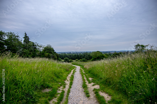 country road in the field