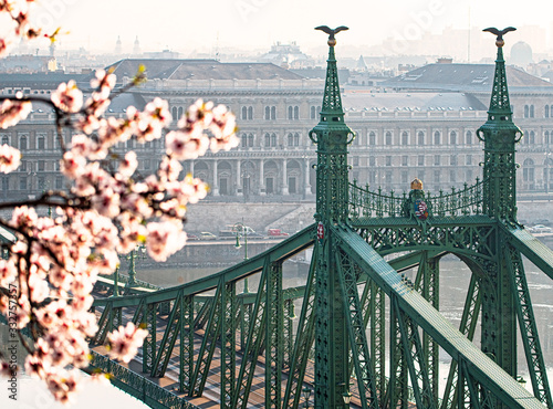 Famous Liberty Bridge with ...