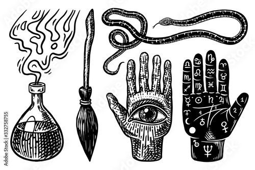 Mystical magic boho elements. Witchcraft astrological set. Esoteric alchemy occult sketch for tattoo or T-shirts. Palmistry Snake Broom Elixir Potion Divination. Drawn Engraved vector illustration.