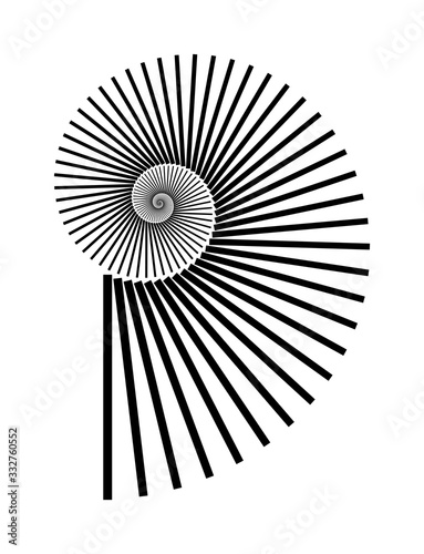 Fotografia Abstract vector Archimedean spiral, shell symbol shape on a white background