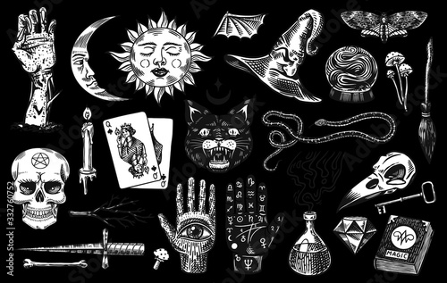 Mystical magic boho elements. Witchcraft astrological set. Esoteric alchemy occult sketch for tattoo. Palmistry and skull, the hand of a dead man. Drawn Engraved Game Cards and Black Cat.