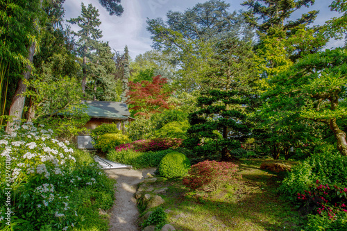 Idyllic Japanese garden at Paris ( Albert-Kahn garden)