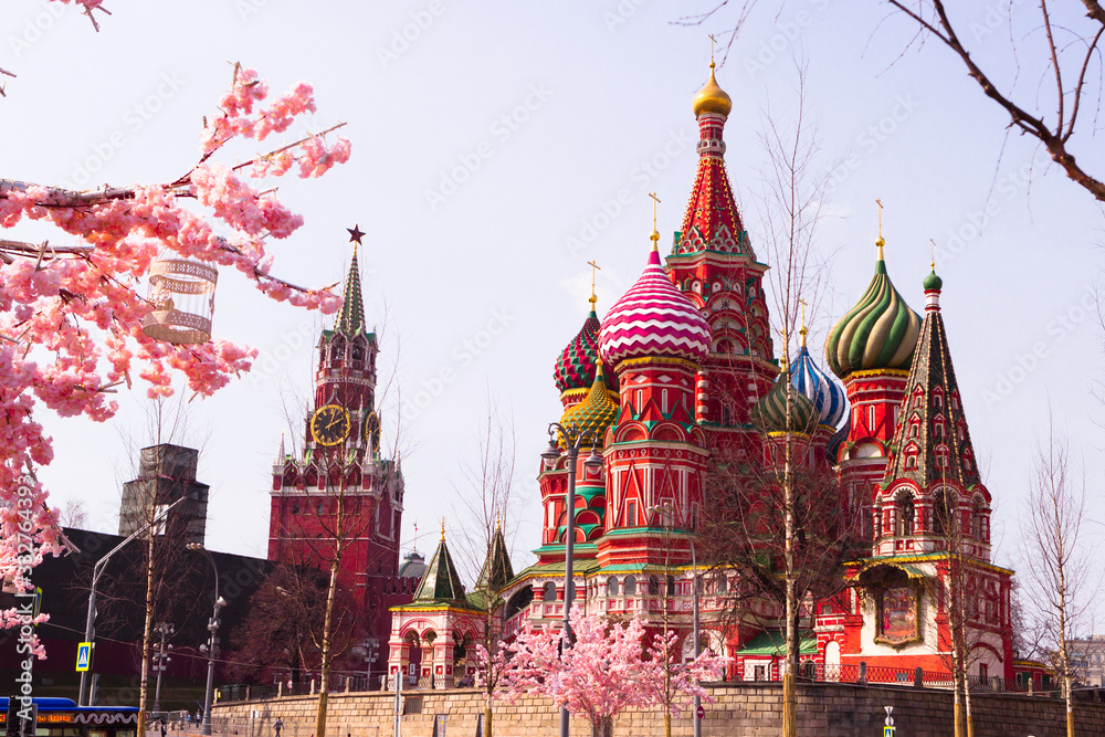 Moscow, Russia, April 16, 2018 - St. Basil's Cathedral, the Kremlin and Vasilyevsky Descent in the spring surrounded by artificial sakura trees, installation.