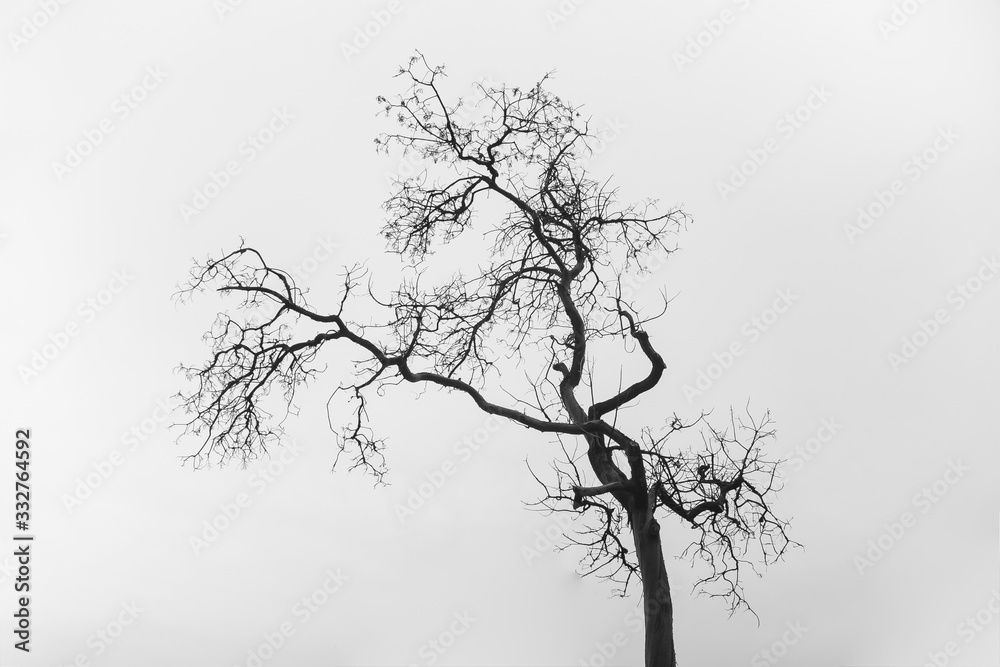 Obraz premium British Columbia