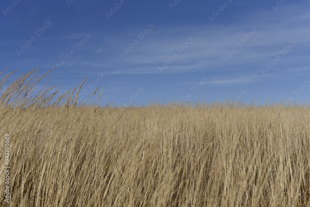 Fototapeta premium Bieszczady Mountain park with top view in high sun