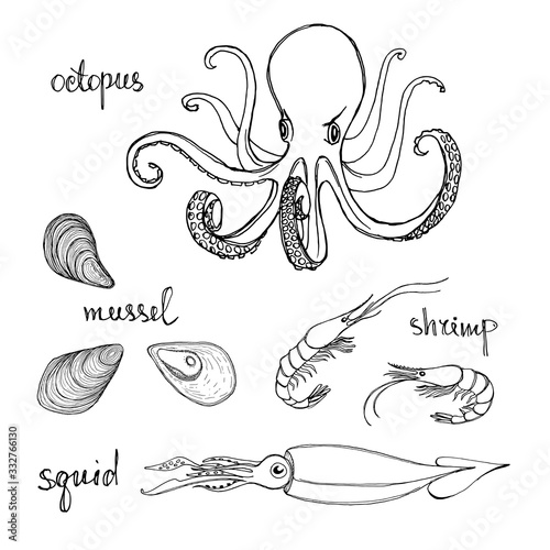 Octopus, mussel, shrimp, squid. Black line sketch collection of seafood isolated on white background. Doodle hand drawn fish and seafood icons. Vector illustration