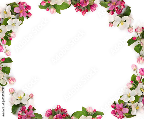 Fototapeta Naklejka Na Ścianę i Meble -  Frame of flowers apple tree, pink and white blossom on a white background with space for text. Top view, flat lay